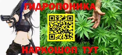 тгк Партизанск
