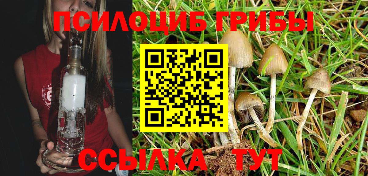 Галлюциногенные грибы Magic Shrooms  Вход с VPN  Рыбинск 